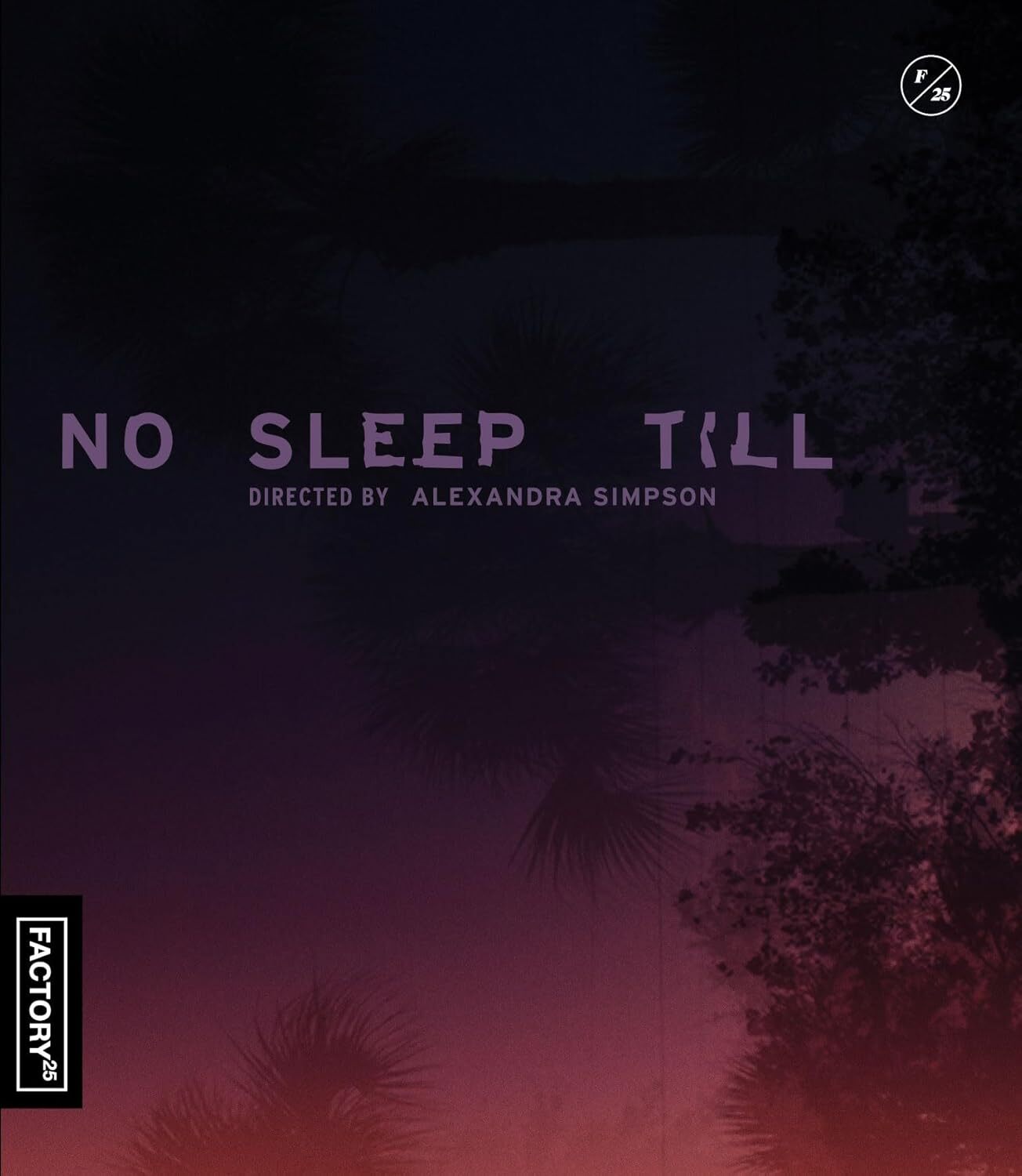 No Sleep Till (2024) Standard Edition Factory 25 - Blu-ray Region Free