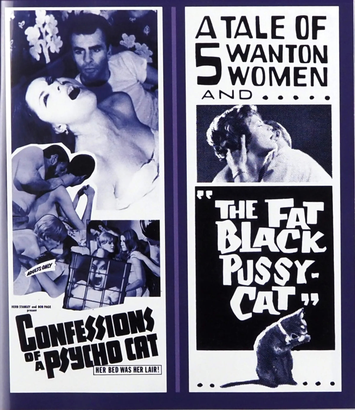 Confessions of a Psycho Cat + The Fat Black Pussycat - Distribpix - Blu-ray Region Free