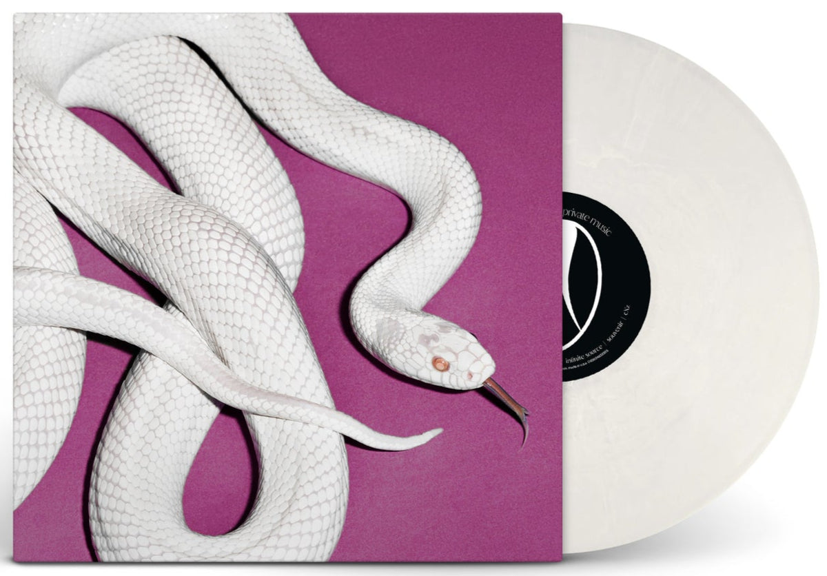 Deftones - Private Music (2025) Indie Exclusive Alt Cover - Limited Edition Fog Grey Vinyl