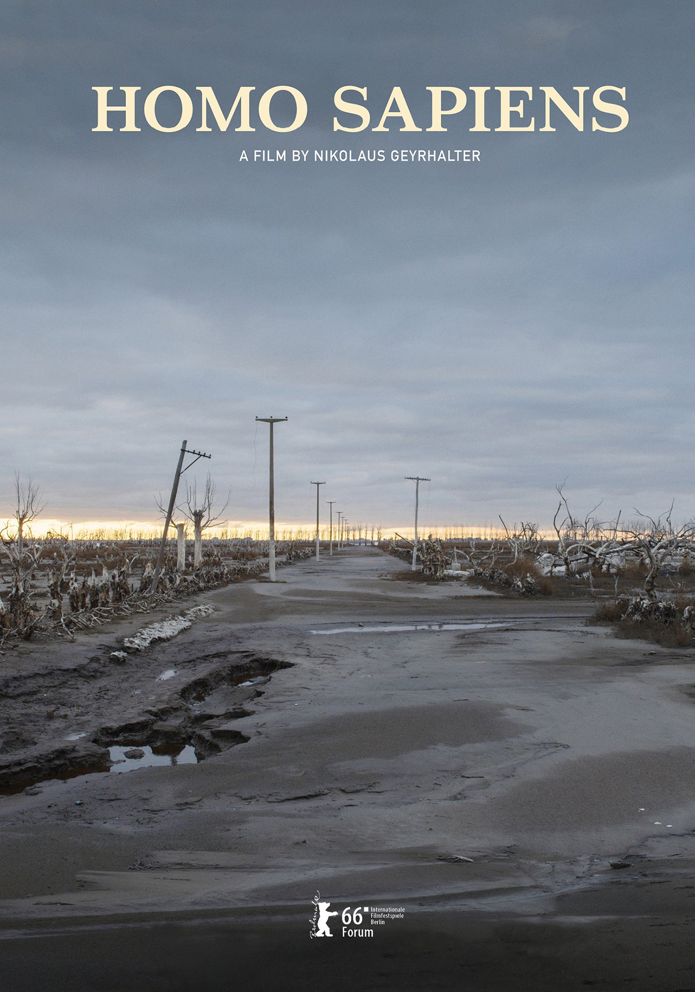 Homo Sapiens (2016) KimStim - DVD