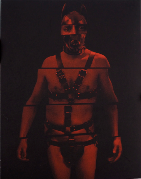 Dogs Don't Wear Pants (2019) LE Slipcover Yellow Veil - Blu-ray