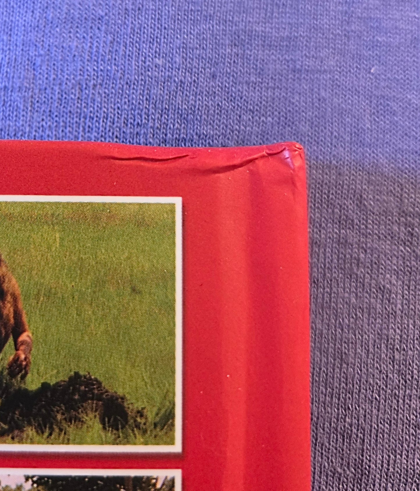 Cannibal Holocaust 2 (Amazonia 1985) USED - LE 999 Mediabook - Blu-ray Region B