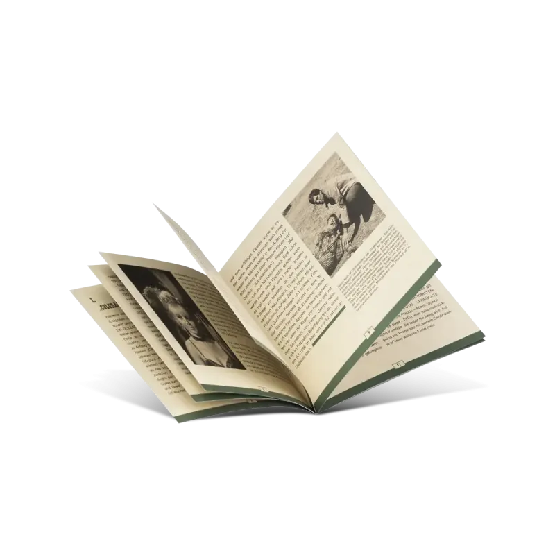 Fort Yuma Gold (1966) Plaion Box Set - Blu-ray Region B