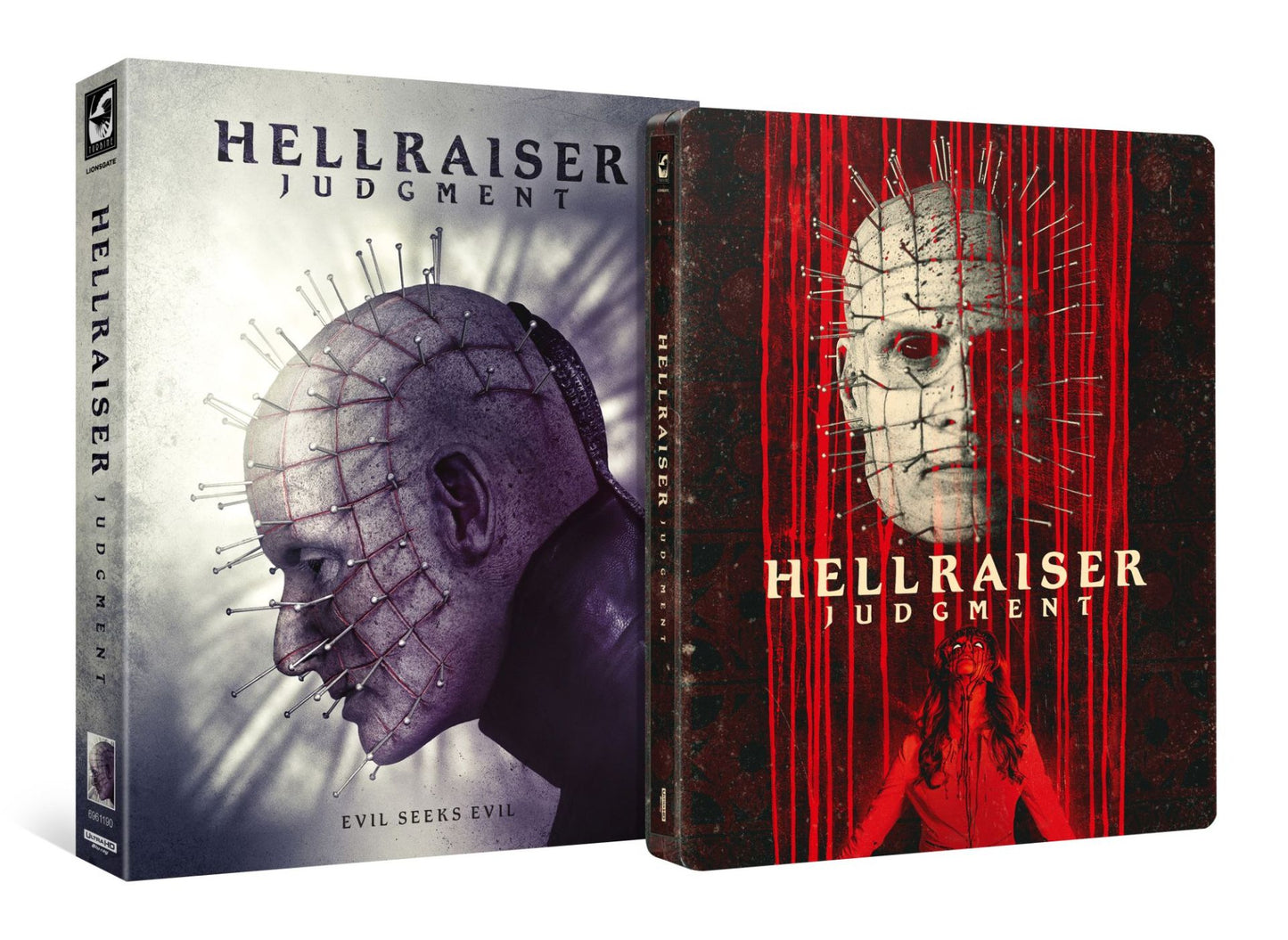 Hellraiser: Judgement (2018) LE 999 Steelbook w/ Slipcase D - 4K UHD / Blu-ray