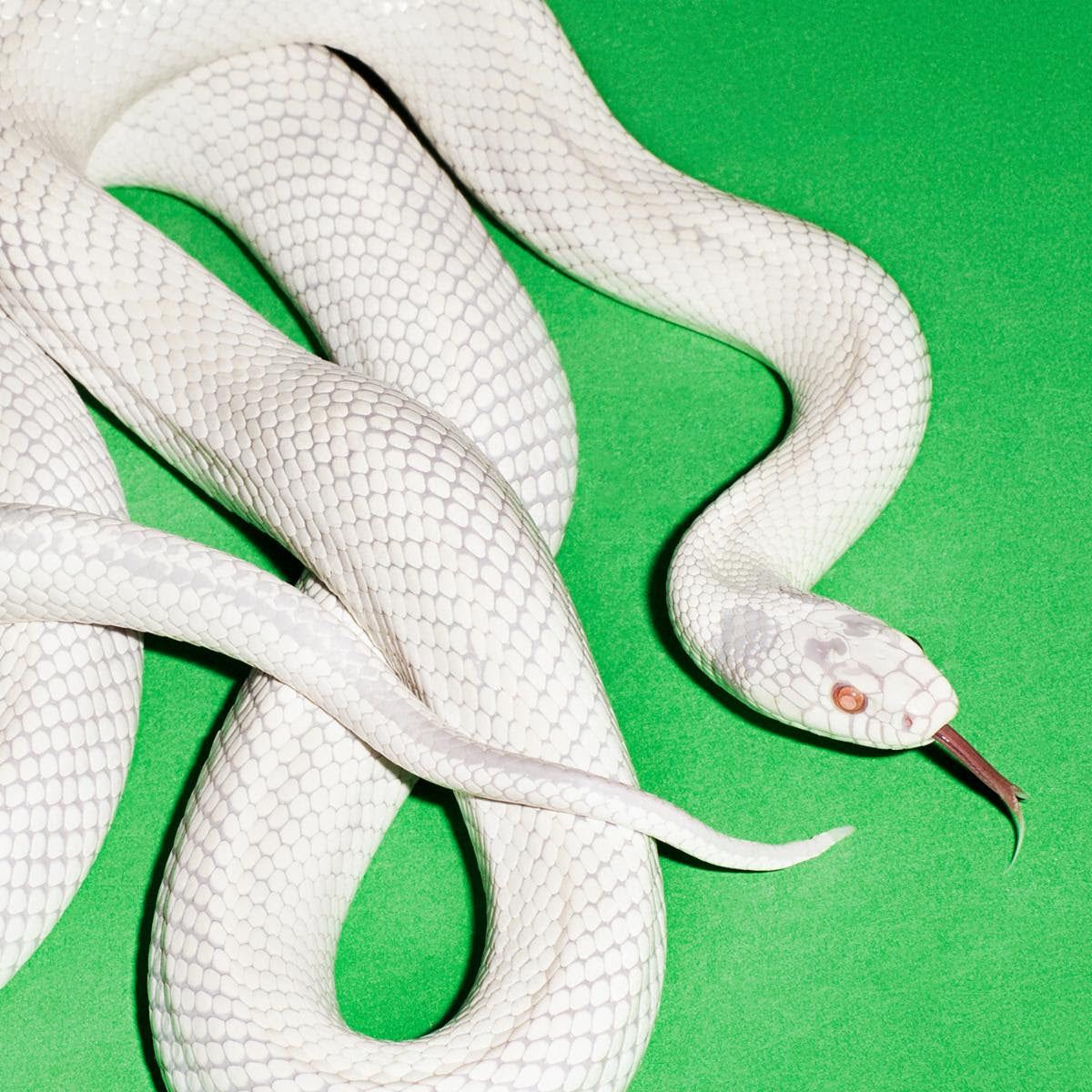 Deftones - Private Music (2025) First Edition Pressing Clear Vinyl