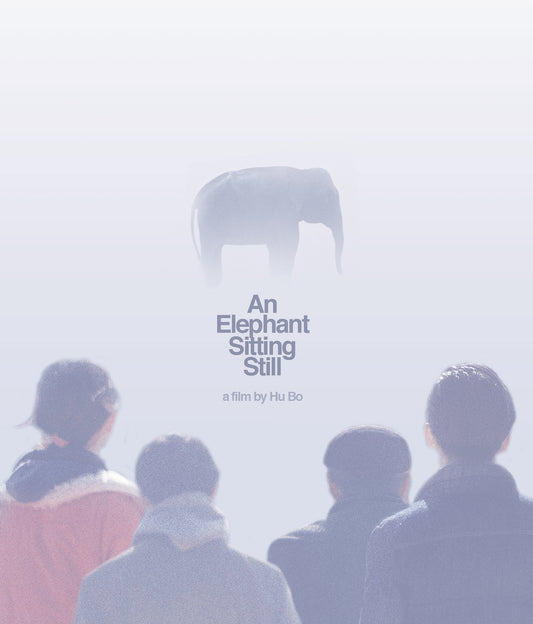 An Elephant Sitting Still (2018) KimStim - DVD
