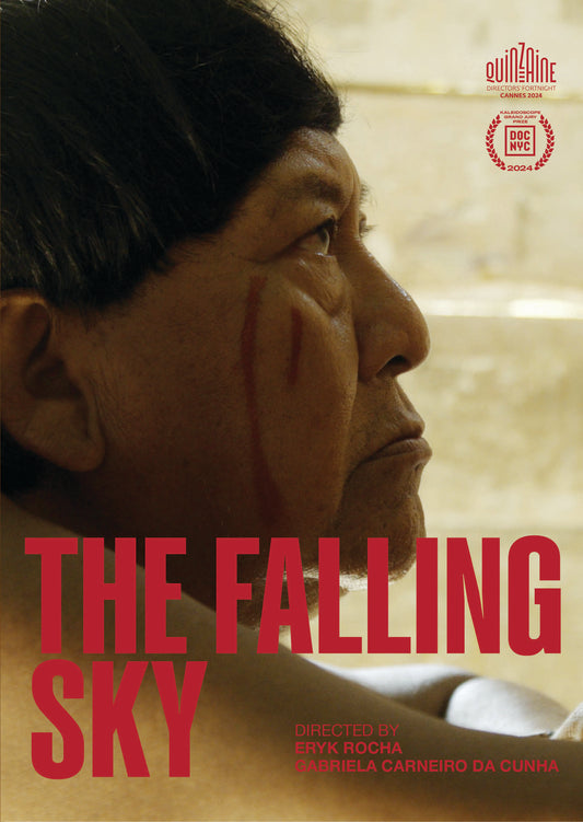 The Falling Sky (2024) KimStim - DVD