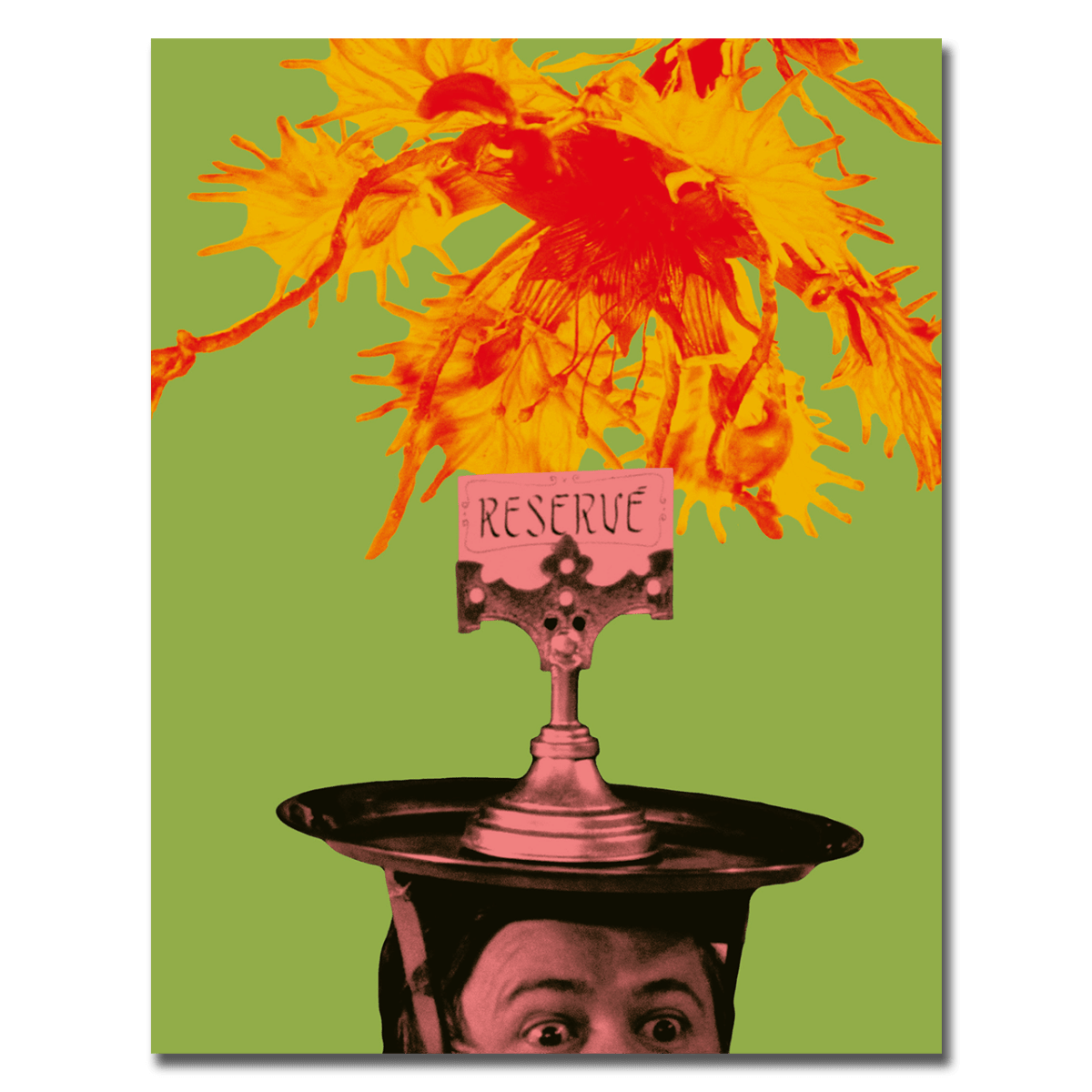 Adela Has Not Had Supper Yet (1978) Deluxe Limited Edition Deaf Crocodile - Blu-ray