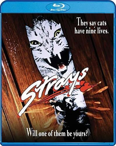 Strays (1991) (Used - Blu-ray Region A)