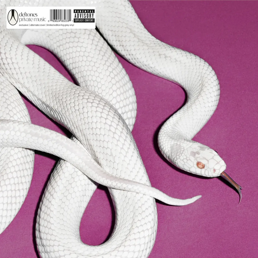 Deftones - Private Music (2025) Indie Exclusive Alt Cover - Limited Edition Fog Grey Vinyl
