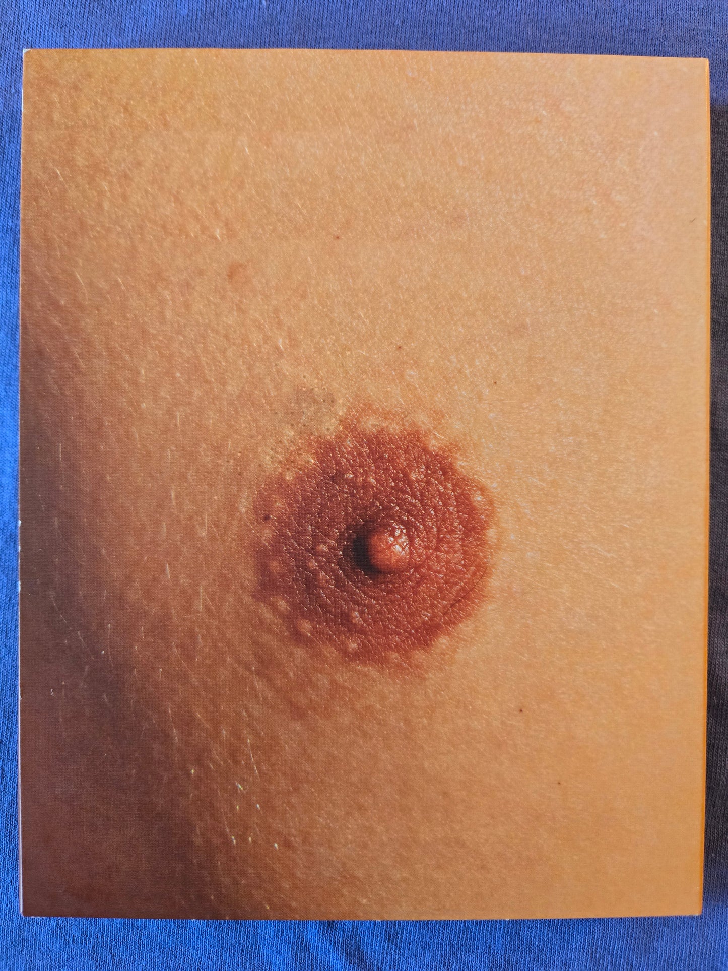 Pals (1982) USED - LE Slipcover Altered Innocence - Blu-ray Region Free