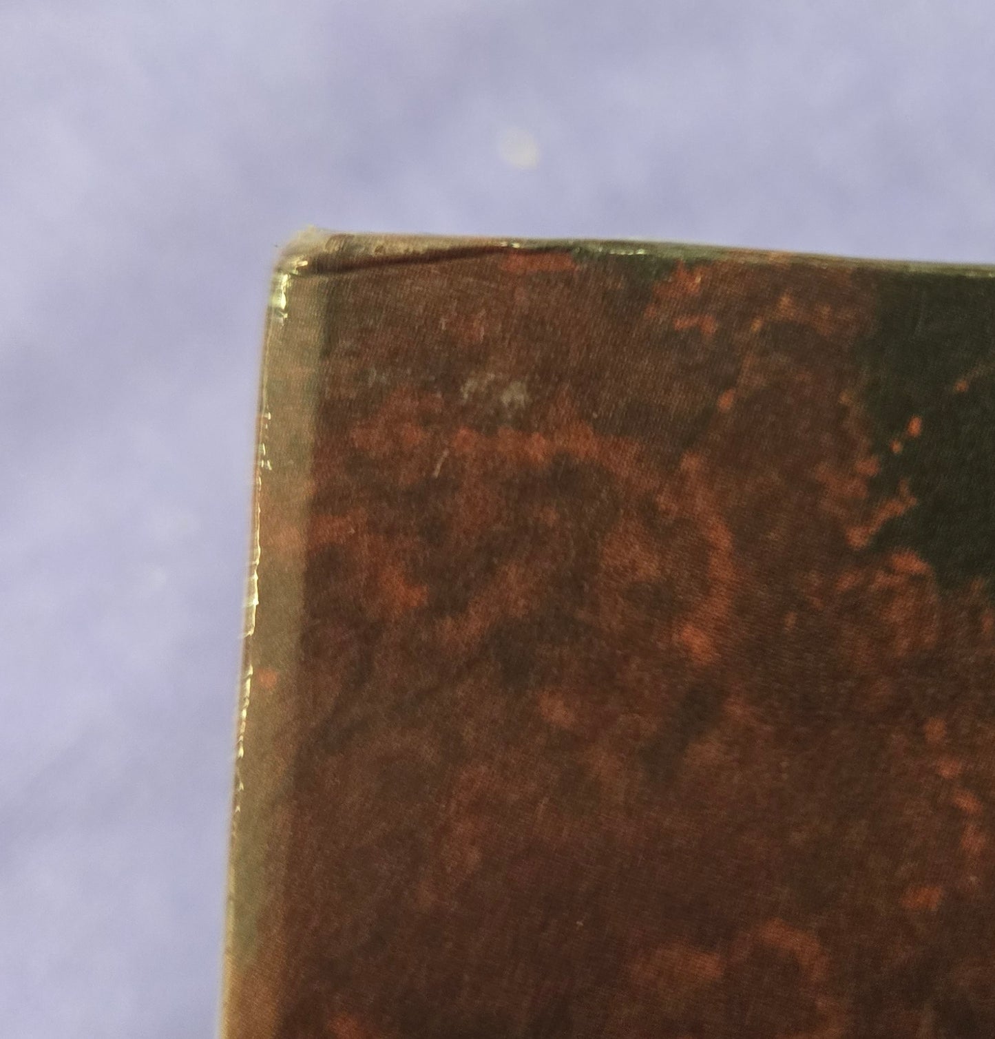 Donnie Darko (2001) *TINY DINY* Limited Collector's Edition Plaion - 4K UHD / Blu-ray Region B